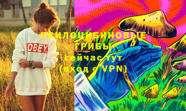 молекула духа Белоозёрский