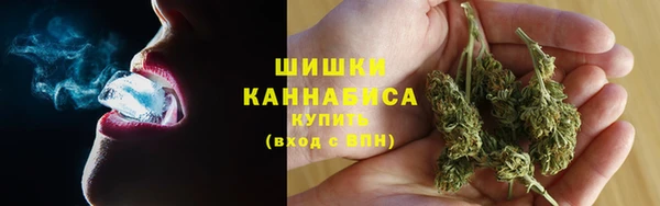 дмт Богданович