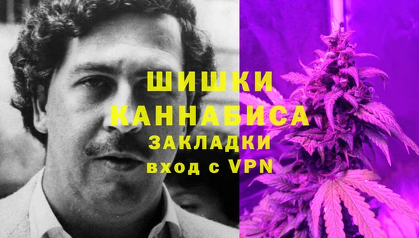 молекула духа Белоозёрский