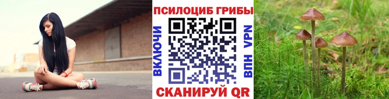 где купить наркоту  Красновишерск  Псилоцибиновые грибы прущие грибы 